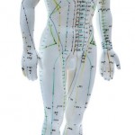 Le CT Scans révèle les points d’acupuncture!