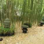 Journée Qi gong du 12 juin à la bambouseraie de Montauroux